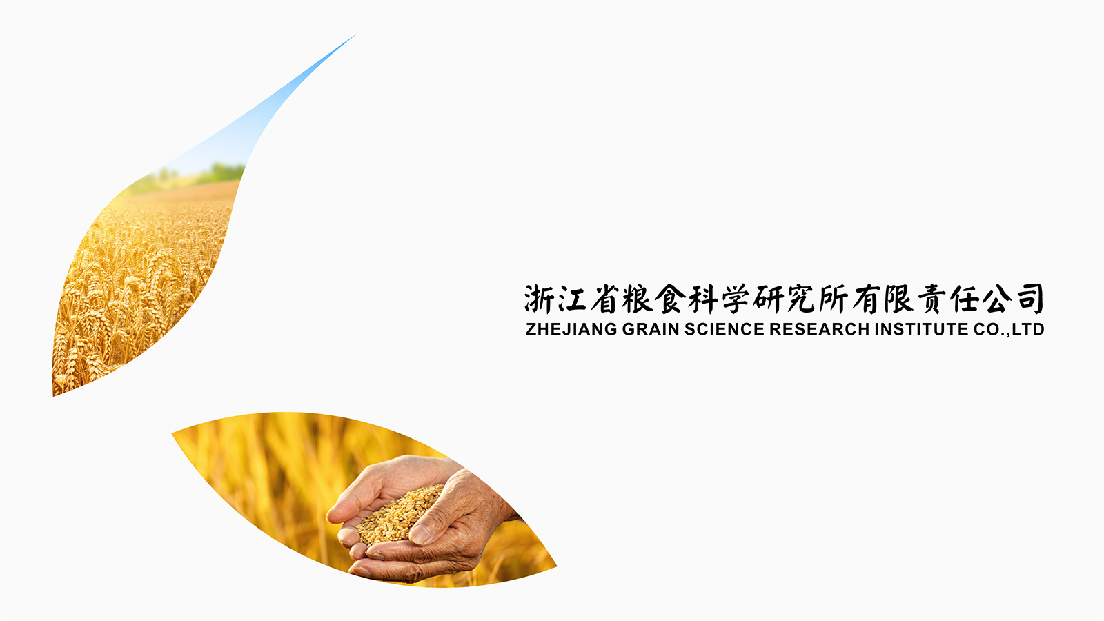 zgsri-浙江省糧食科學(xué)研究所-1.jpg